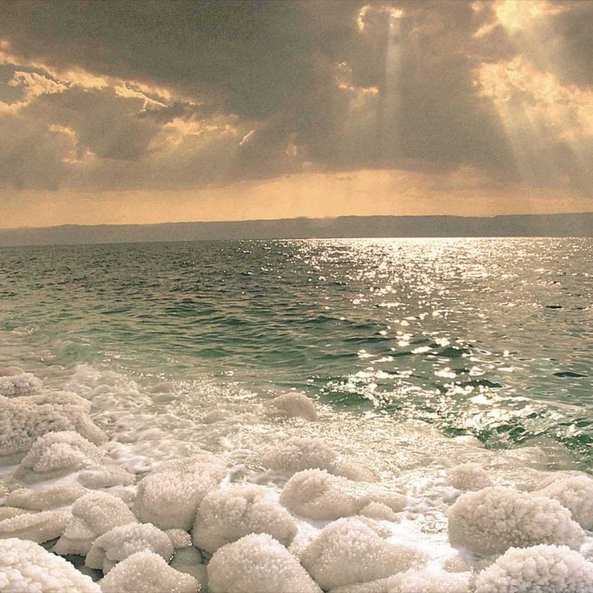 Ein Gedi, Holt-tenger